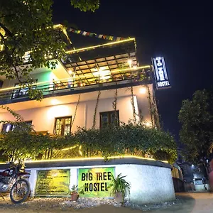  Hostal Big Tree